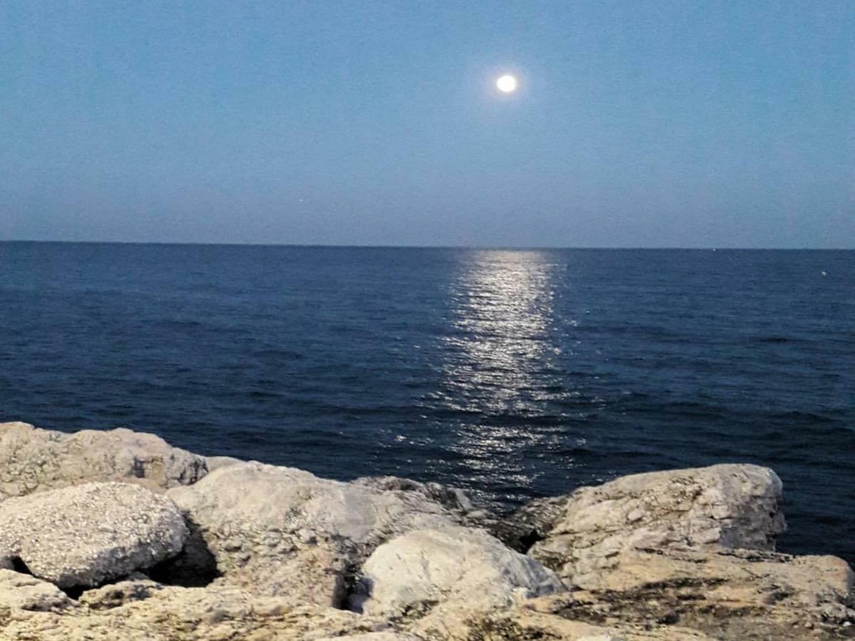 توريمولينوس Mediterranean Dream II - Studio المظهر الخارجي الصورة
